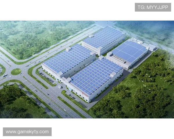 开云公司在可持续发展方面的实践经验与未来绿色环保计划